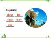 Unit 5 Why do you like pandas-Section B 1a-1d 2课件(共21张PPT)