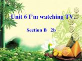 Unit 6 I'm watching TV-Section B 2b 课件(共有PPT24张）
