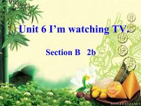 人教新目标 (Go for it) 版七年级下册Unit 6 I’m watching TV.Section B说课ppt课件