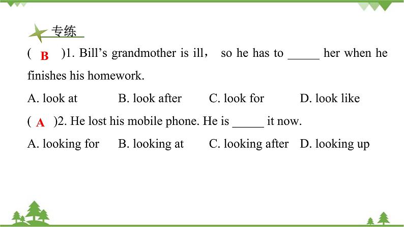 Unit 9 What does he look like？Section A（1a_2d）课件(共21张PPT)第8页