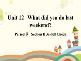 Unit 12 What did you do last weekend？Section B 3a-self check 第4课时(共9张PPT)