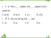 Unit 5 Why do you like pandas-Section A (Grammar Focus_3c)课件（19张PPT）
