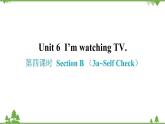 Unit 6 I’m watching TV-Section B （3a_Self Check）习题课件