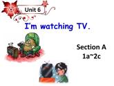 Unit 6 I'm watching TV-Section A 1a—2c(1)课件