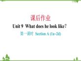 人教新目标(Go for it)版Unit 9 What does he look like-Section A (1a_2d)课后作业课件（18张)