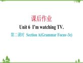 Unit 6 I’m watching TV-Section A (Grammar Focus_3c)习题课件