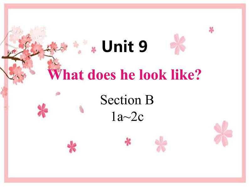 Unit 9 What does he look like_ Section B  1a-2c-课件(共25张PPT无素材)第1页