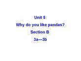 Unit 5 Why do you like pandas_ SectionB3a-3b课件(共15张PPT)