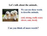 Unit 5 Why do you like pandas_ SectionB3a-3b课件(共15张PPT)