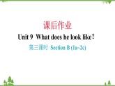 Unit 9 What does he look like？Section B (1a_2c) 课后作业课件 (共17张PPT)