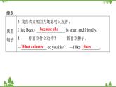 Unit 5 Why do you like pandas-Section B（3a_Self Check）课后作业课件 (共21张PPT)