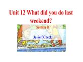 Unit 12 What did you do last weekend_Section B 3a-SelfCheck 课件（共有PPT15张）