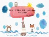 Unit 12 What did you do last weekend_ SectionB2a-2c课件(共22张PPT)