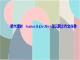 Unit 9　What does he look like-第六课时　Section B (3a-3b)—单元同步作文指导课件（8张PPT）