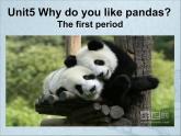 Unit 5 Why do you like pandas？Section A 课件（共有PPT24张）