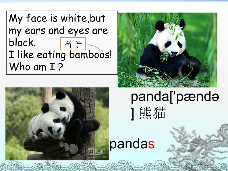 Unit 5 Why do you like pandas？Section A 课件（共有PPT24张）第3页