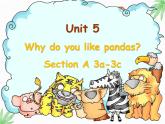 Unit 5 Why do you like pandas？ Section A 3a-3c 课件（共有PPT19张）