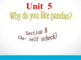 Unit 5 Why do you like pandas_ section B（3a-selfcheck）课件21张