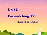 Unit 6 I'm watching TV.Section B 3a—3b Self check课件（共有PPT18张）