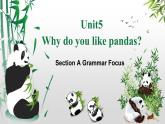 Unit 5 Why do you like pandas_ SectionA Grammar（3a-3c）课件33张