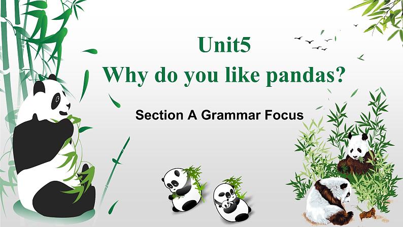 Unit 5 Why do you like pandas_ SectionA Grammar（3a-3c）课件33张第1页