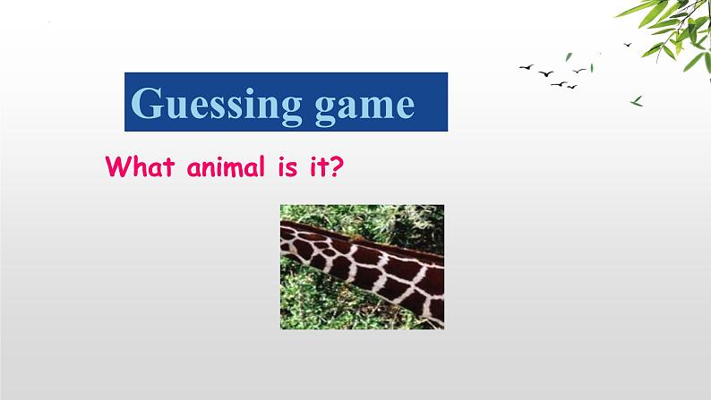 Unit 5 Why do you like pandas_ SectionA Grammar（3a-3c）课件33张第3页