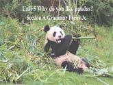 Unit 5 Why do you like pandas_第2课时（Section A Grammar Focus-3c）课件（共有PPT13张）