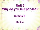 Unit 5 Why do you like pandas_ Section B Reading课件29张