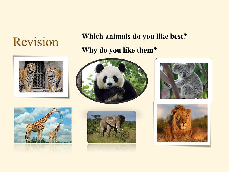 Unit5  Why do you like pandas_ SectionA  Grammar focus 3c课件（15张PPT）02