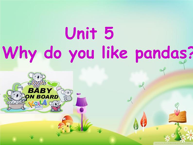 Unit 5 Why do you like pandas？Section A 课件01