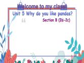 Unit 5 Why do you like pandas_ Section B (2a-2c)课件14张