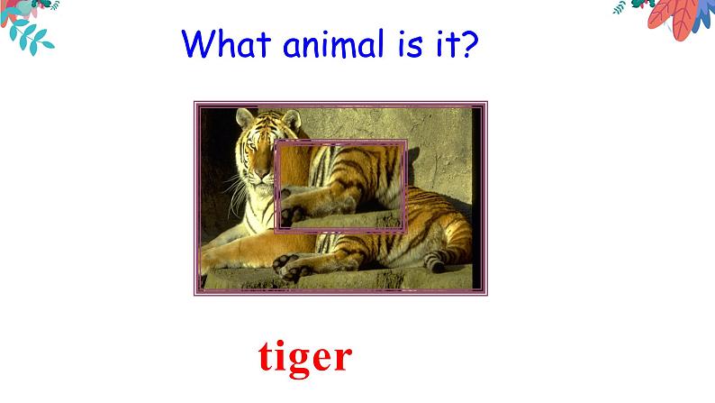 Unit 5 Why do you like pandas_ Section B (2a-2c)课件14张第3页