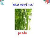 Unit 5 Why do you like pandas_ Section B (2a-2c)课件14张