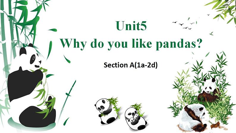 Unit 5 Why do you like pandas_ Section A (1a-2d) 课件（共有PPT23张）01