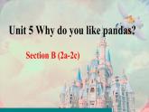 人教新目标(Go for it)版七年级下Unit 5 Why do you like pandas_ Section B (2a-2c)课件（14张ppt）