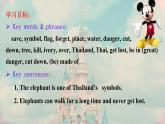 人教新目标(Go for it)版七年级下Unit 5 Why do you like pandas_ Section B (2a-2c)课件（14张ppt）