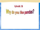 Unit 5 Why do you like pandas_ Section B 1a-1d课件21张