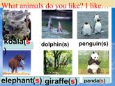 Unit 5 Why do you like pandas_ Section B 1a-1d课件21张