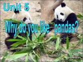 Unit 5 Why do you like pandas_Section A 1a-1c 课件(共有PPT25张0