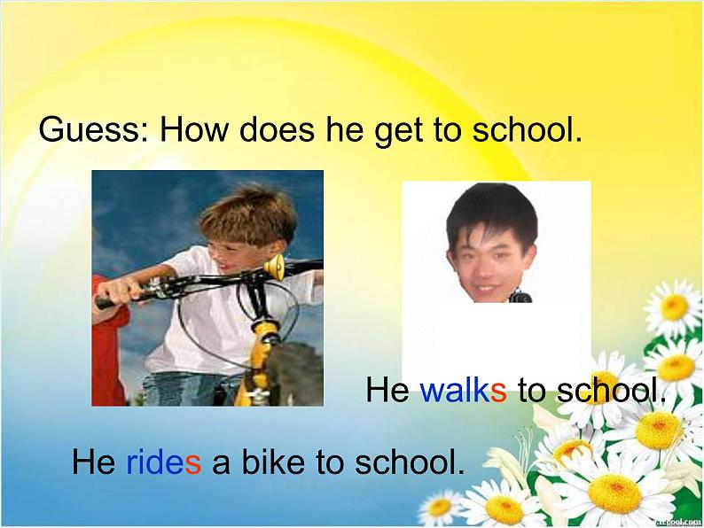 Unit 3 How do you get to school_Section A 1a-2e 课件（共有PPT22张，无音频）第6页