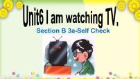 初中英语Unit 6 I’m watching TV.Section B课文课件ppt