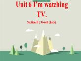 Unit 6 I’m watching TV.Section B (3a-self check)课件（共有PPT15张）