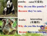 Unit 5 Why do you like pandas_ SectionB 1a-1d课件(共20张PPT)