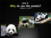 Unit 5 Why do you like pandas_ section B 1a-1d课件14张