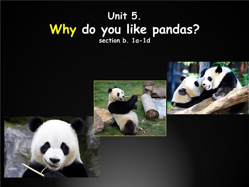 Unit 5 Why do you like pandas_ section B 1a-1d课件14张01