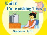 Unit 6 I'm watching TV Section A  1a-1c课件 (共25张PPT无音频)