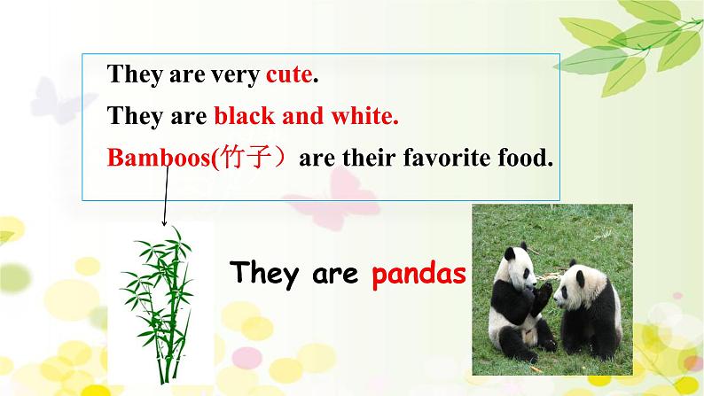 Unit 5 Why do you like pandas_ Section B (1a-1d)课件28张05