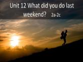 人教新目标(Go for it)版七年级下Unit 12 What did you do last weekend_ SectionB 2a-2c课件（14张PPT）