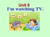 Unit 6 I'm watching TV. Section A Grammar Focus-3c课件33张
