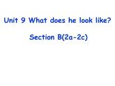 Unit 9 What does he look like_ SectionB2a-2c课件 (共23张PPT)